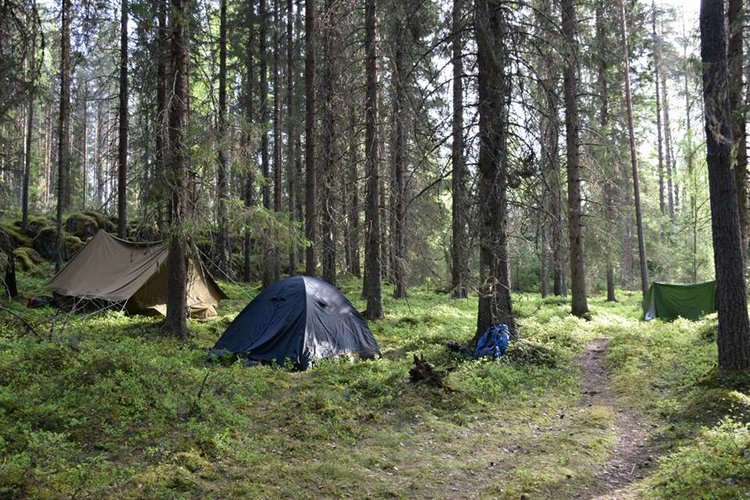 Kuvassa telttoja Rapeikon metsässä